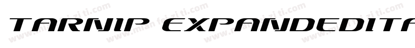 Tarnip ExpandedItalic字体转换
